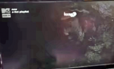 V Zborove sa údajne zjavila Panna Mária. Na obrazovke televízora