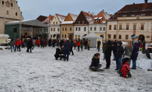 Kačur v Bardejove