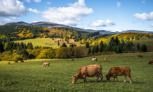 Letnú sezónu v Prešovskom kraji zachránili domáci návštevníci