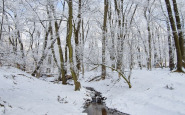 hodkovce (8).jpg