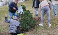 VIDEO | V Parku filantropov pribudli nové stromčeky